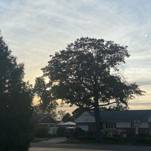 Meet your Posher, Onyi